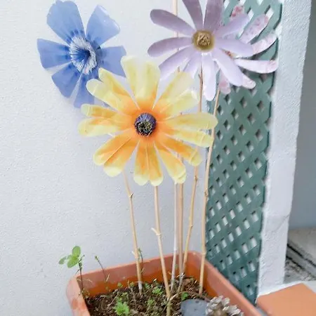 Apartmán Pardela