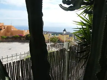 Pardela Costa Adeje